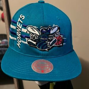 Hornets Snap Back